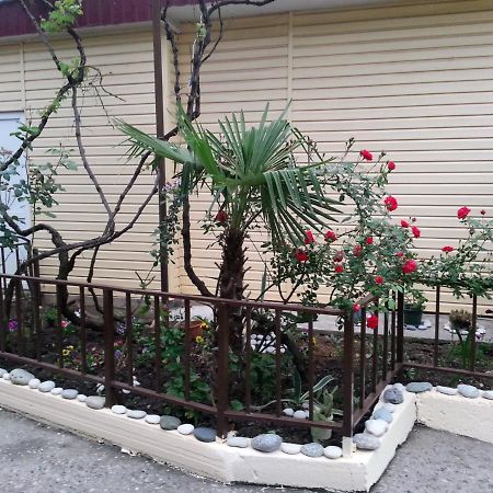 Orhidea Guest House Гагра Екстер'єр фото